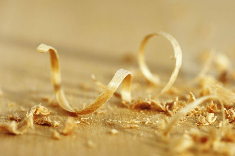 Fine wood shavings on a workbench